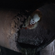 Illustration for article titled How To Survive a Killer Clown Attack